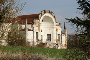 Дворец в Вишенках